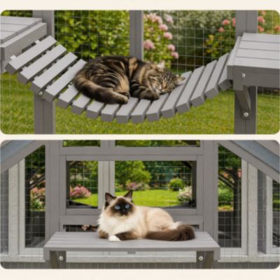enclos pour chat extérieur XXL amélioré