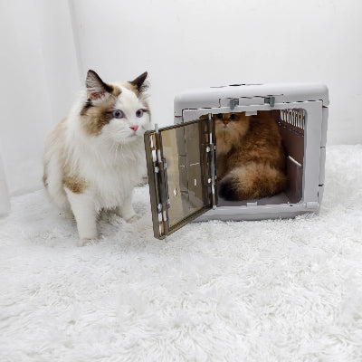 caisse de transport pour chat emboitable avec deux chats