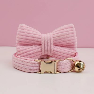 collier chat boucle variante blush
