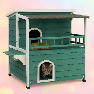 niche pour chat extérieur verte chat ouverture