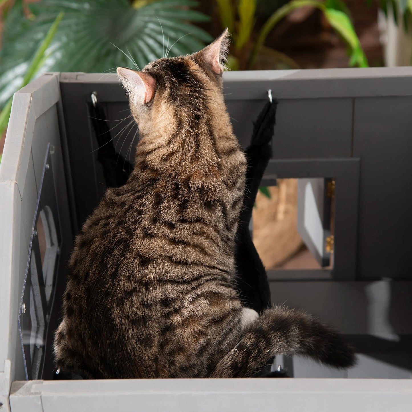 niche pour chat maisonnette chat coucher