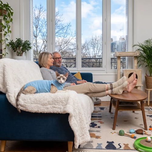 body chat frileux
