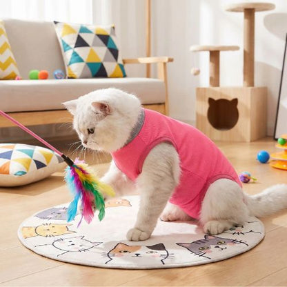 body post-opératoire chat joueur