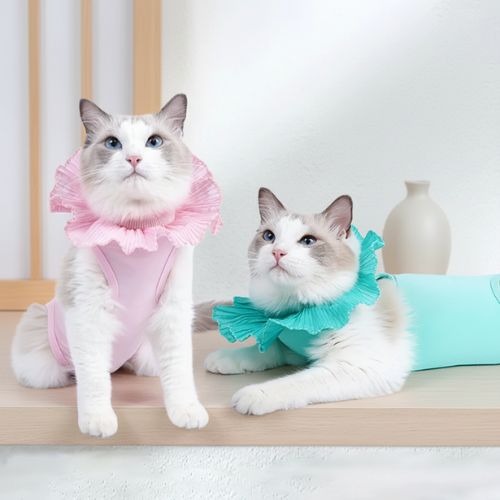 Body pour chat post-chirurgie anti-léchage