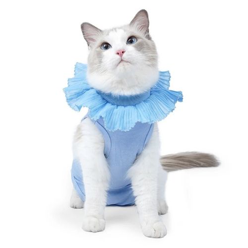 Body pour chat post-chirurgie bleu
