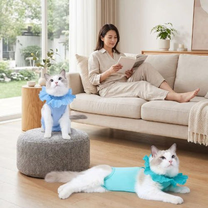 Body pour chat post-chirurgie confort