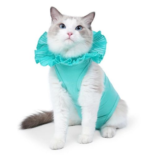 Body pour chat post-chirurgie vert