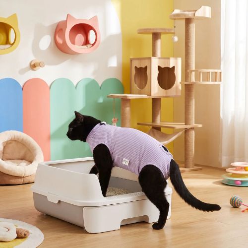 Body pour chat efficace pour les besoins
