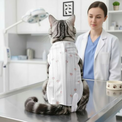 Body pour chat post opératoire sécuritaire