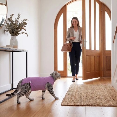 Body pour chat confort pour la marche