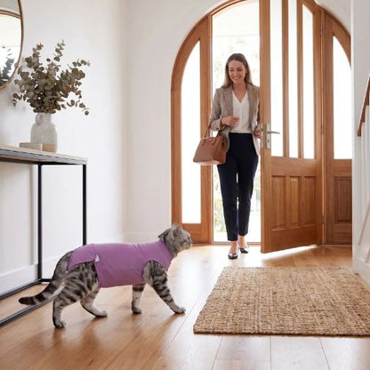 Body pour chat confort pour la marche