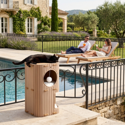 Catio balcon Petit Espace pour cour extérieure