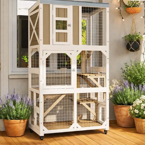 catio balcon sécurisé