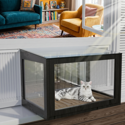 extension fenêtre chat noir