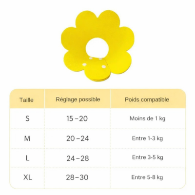 collerette chat fleur jaune guide des tailles