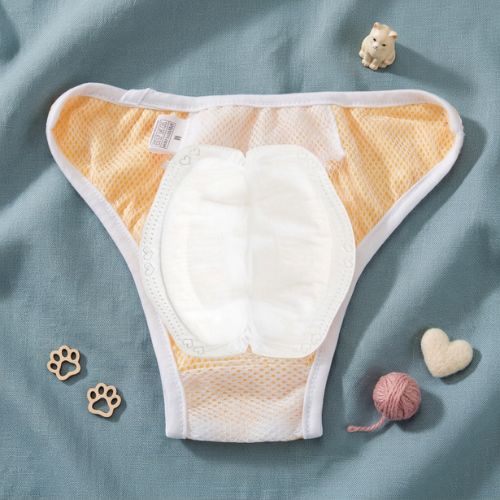 Couche pour chat incontinence inserts