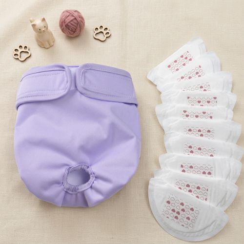 Couche pour chat incontinence couche-culotte