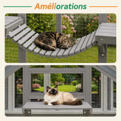 enclos pour chat extérieur XXL améliorations apportées