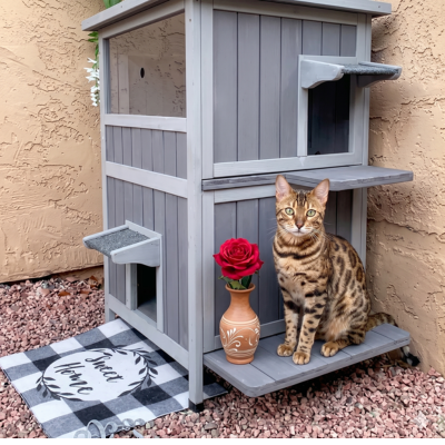 niche pour chat robuste