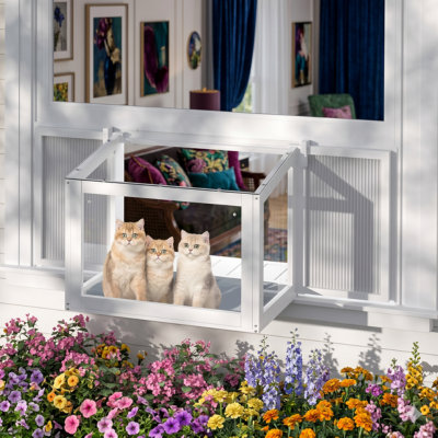 catio relié à la maison