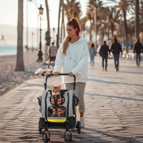 Poussette chat pour la marche