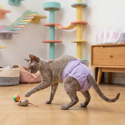 Portection pour chat en chaleur confort