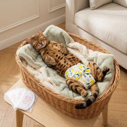 Portection pour chat en chaleur confortable