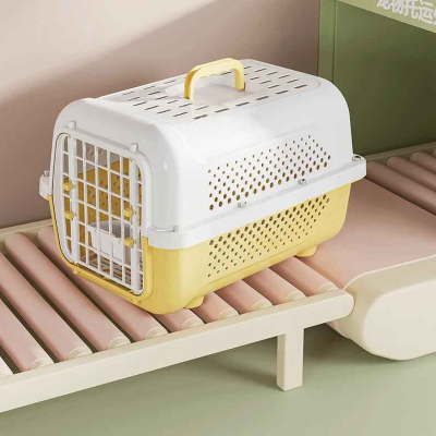 caisse de transport chat robuste