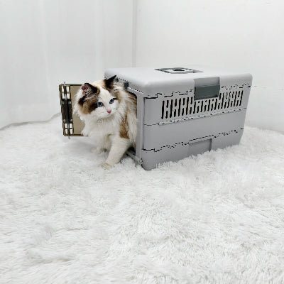 caisse de transport pour chat emboitable chat interieur sortie