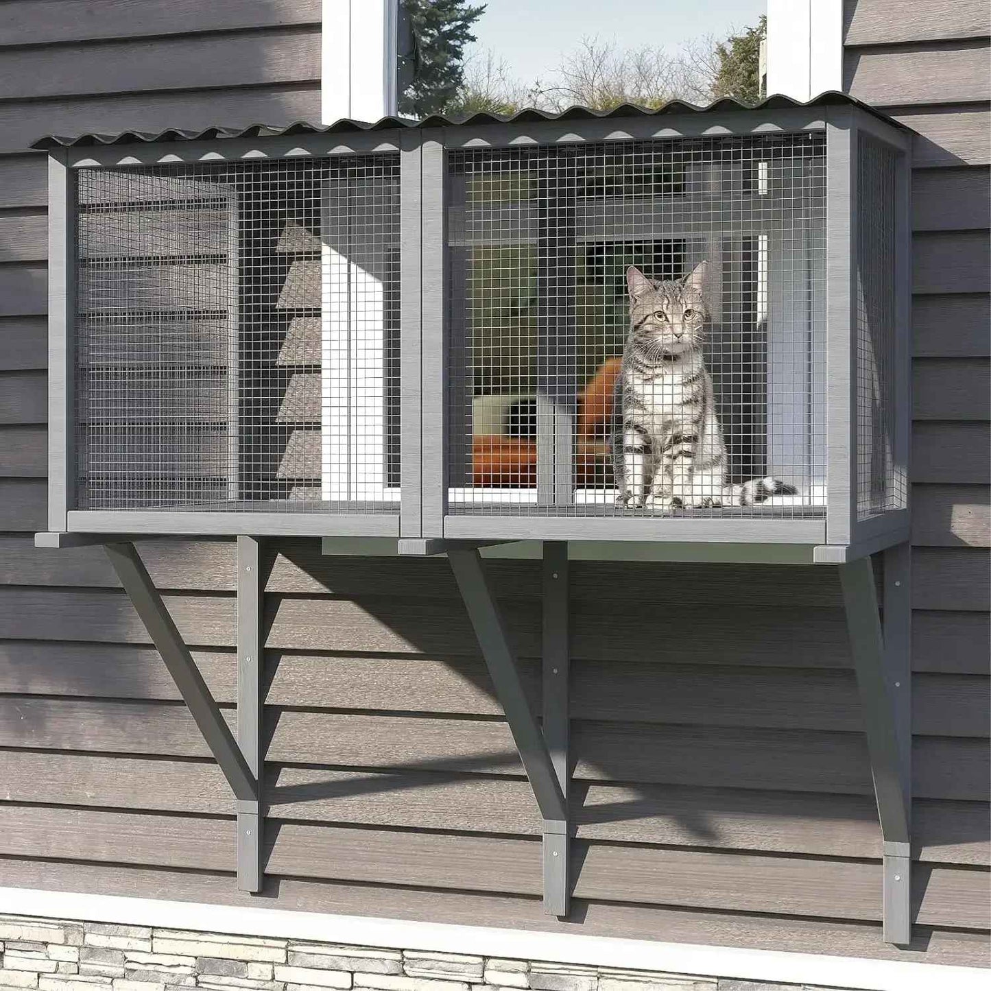 catio peekaboocat fenetre chat