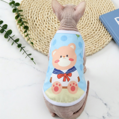 chandails pour chats sphynx ourson sur chat