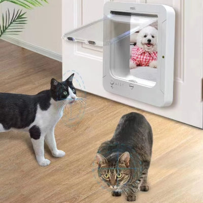 chatiere electronique avec puce RFID chats chien