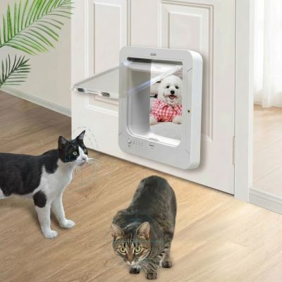 chatière électronique avec puce RFID avec chiens et chats qui sont séparés