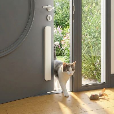 chatière entrée libre montrant chat qui entre