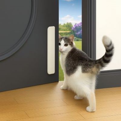 chatière entrée libre chat sortant