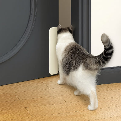 chatiere entree libre chat sortant