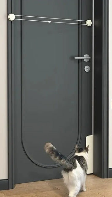 chatiere entree libre porte