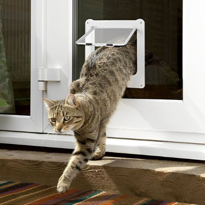 chatiere pour chat installation rapide chat sortant