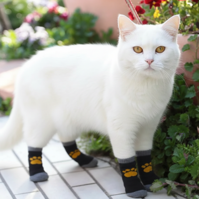 chaussettes antidérapantes chat jaune chat