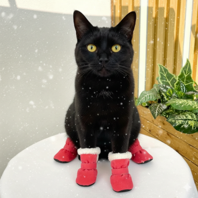 chaussures pour chat antidérapantes en peluche rose sur chat