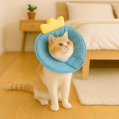 collerette chat dinosaure chambre