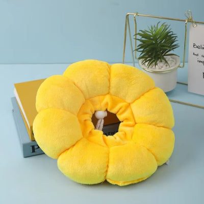 collerette chat marguerite