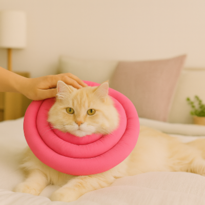 collerette souple pour chat rose sur chat