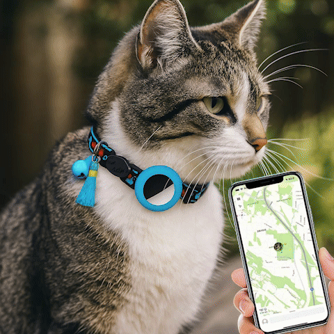 collier gps chat Mojave