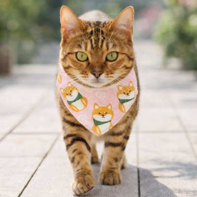 collier chat bandana rose