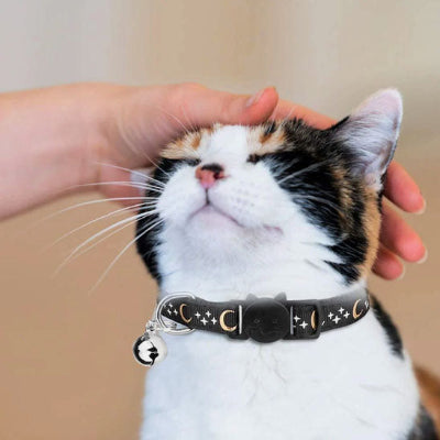 collier pour chat cosmochic chat tete