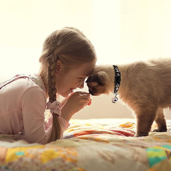 collier pour chat cosmochic petit fille champs