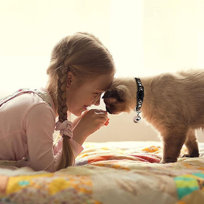 collier pour chat cosmochic petit fille champs