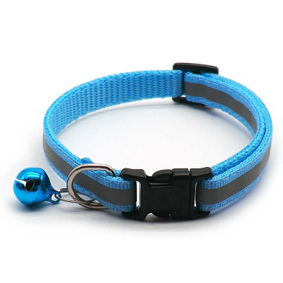 collier réfléchissant chat nocture bleu