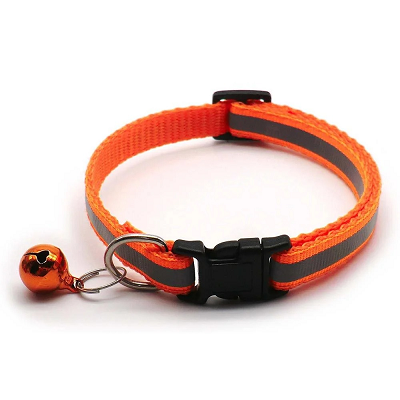 collier réfléchissant chat nocturne orange